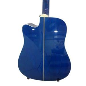 1579781969636-Trinity TNY 5000 Blue Acoustic Guitar (2).jpg
